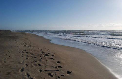 Casa Zefiro, tra pineta e mare! - Foto 28