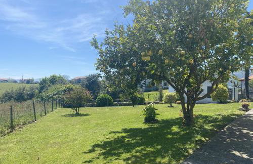 Finca Robejones VV-511-AS - Foto 47