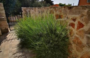 Casa natura - Olib, gem of islands - Photo 41