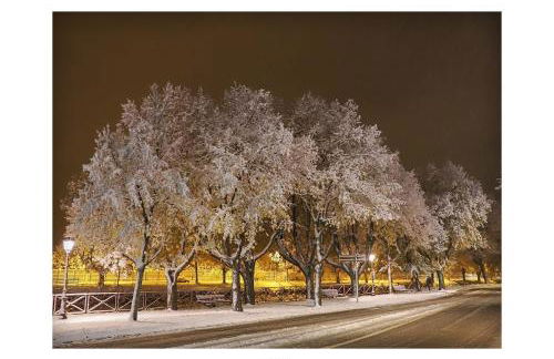 Côté Brand - Foto 58