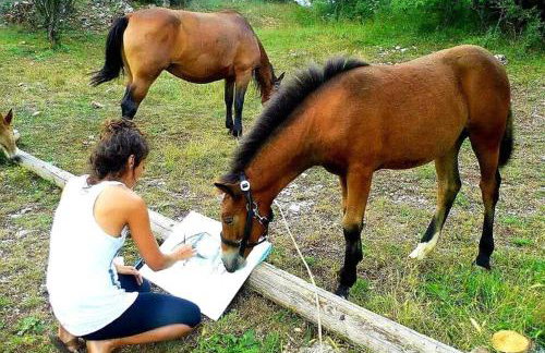 Elati Hills - Photo 55