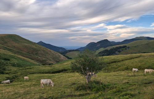Appartement Entre terre et mer 4 personnes - Foto 13