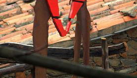 Casal do Amor - Foto 1