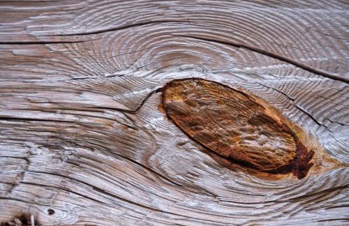 Morowo chałupa - Photo 47