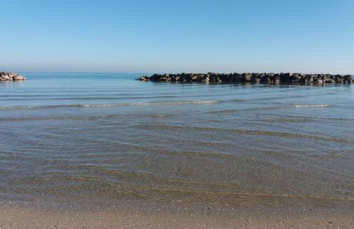 Giardino delle rose - Foto 18