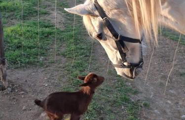 Cerro da Campaniça - Foto 3