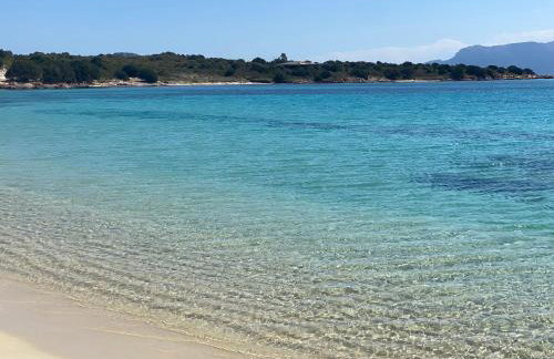 SandBeach Apartment - Foto 16