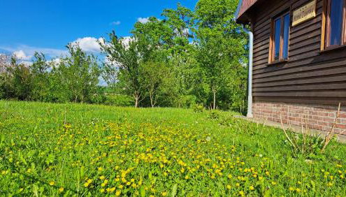 Kuća za odmor Mirna Zagorka sa privatnim bazenom i wellnessom - Foto 5, Garden, Garden view