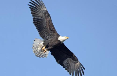 Sunset Breezes - quiet waterfront retreat - Foto 24