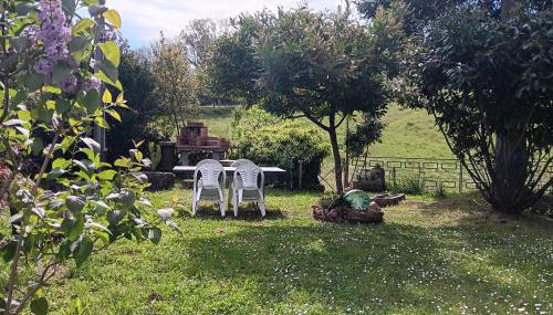 La Casa del Mugnaio - Foto 5, Garden, Garden view