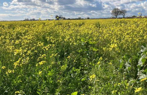 Casa do Ferreiro by Valada Village - Foto 21