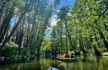 Malanówka 1 - Foto 26