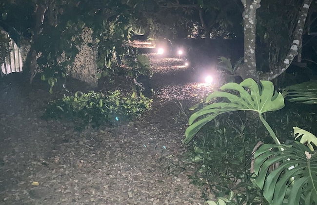 Jungle Like Oasis in San Ignacio - Secluded Cabaña Retreat Close To Mayan Ruins - Foto 13