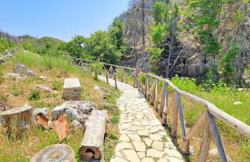 Timber Dream - Photo 34