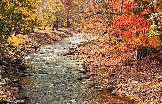 Cozy Creek Cottages - Foto 1