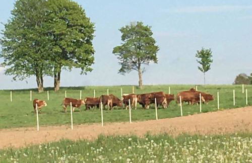 Ferienwohnung Schötz - Foto 30