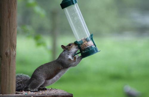 Colston Hall Cottages - Photo 84
