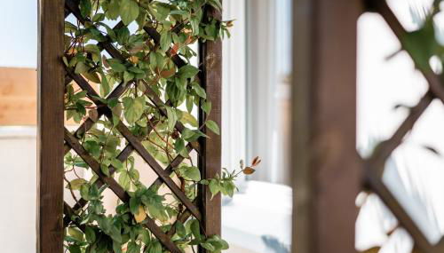 Havre de Paix à Pors Carn à 7 mins à pied de la plage - Foto 2, Garden, Garden view