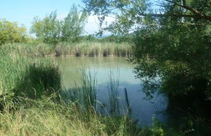 La Grande Bouisse gites avec piscine dans le Luberon, Provence - Foto 9