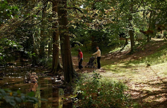 VVF Les Fontaines des Vosges, Saales - Foto 32