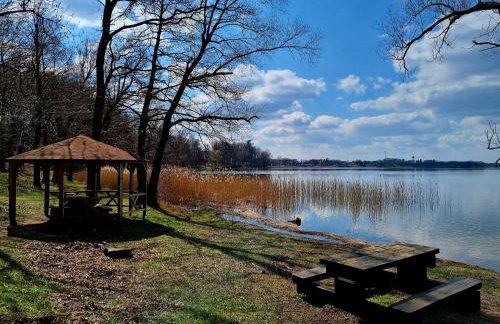 Czereśniowy skrzat II - Foto 3