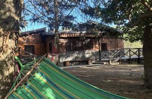 Etna Chalet Nicolosi - Photo 1