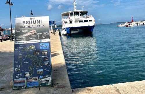 Apartman Dino - Foto 36