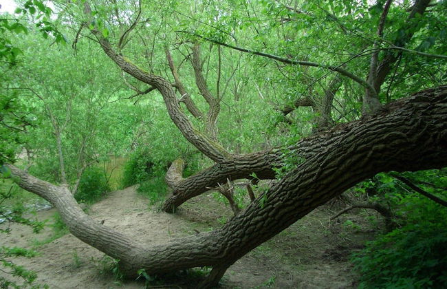 Lovely Apartment in Neubukow near Sea - Foto 28