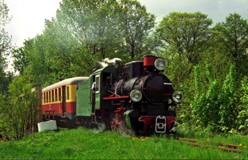 Stara Karczma Sypitki - Foto 33