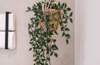 NEW - Apartment - Augsburg - Universitätsklinikum - Foto 17