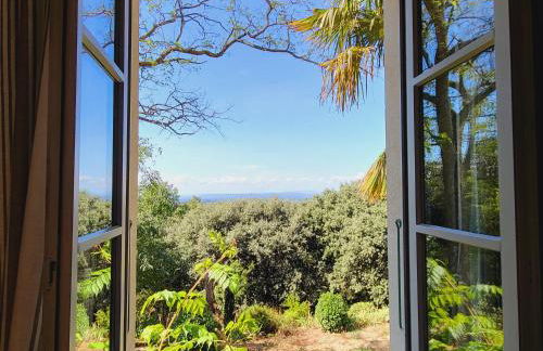 Les Saffres - gîte de charme pour 8 personnes - Foto 17