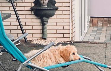 Casita - Sterneferienhaus mit Garten, Sauna und Wallbox - Foto 3