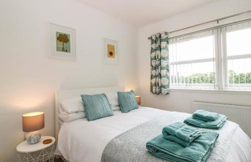 38 The Views - Photo 12