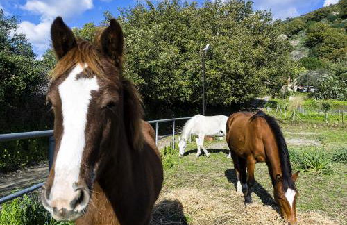 Villa Idyllica - Foto 11