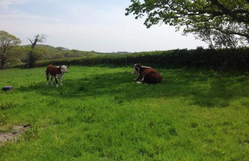 Stable Cottages - Foto 38