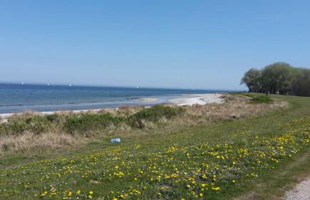Ferienwohnung in zentraler ruhiger Lage Klatt in Kappeln - Photo 22