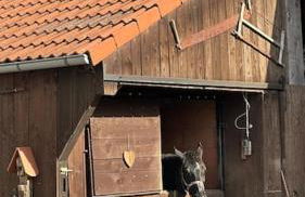 Ferienwohnung Krone 2 - Mernes - Foto 14