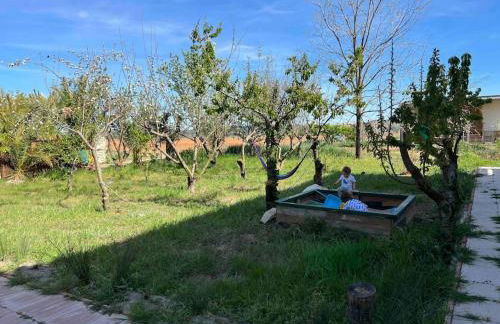 CASA RURAL EN BOSQUE DE PALMERAS - Foto 16