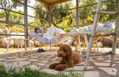 Alle Preziose Dimore - Foto 18