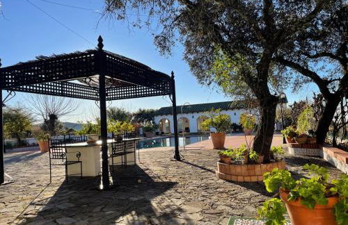 Finca Jaralta de Carmen - Photo 6