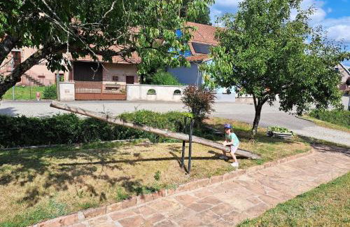 Holiday Home in Reipertswiller Near Castle - Foto 46