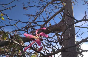 Baia Cofano Home - Foto 65