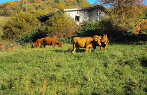 Agriturismo La Part - Foto 23