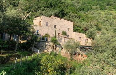 Holidays Homes The dream - Foto 40