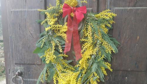 Apartamento Felicitas en La Casa de Cobos, Ribeira Sacra - Foto 3