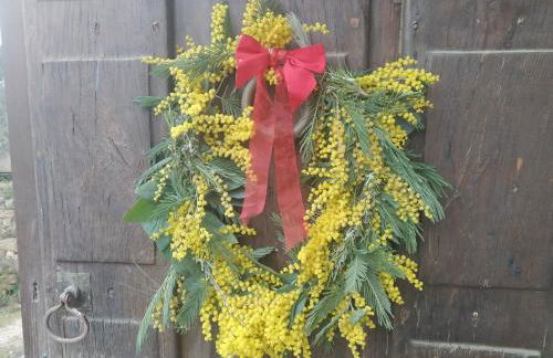 Apartamento Felicitas en La Casa de Cobos, Ribeira Sacra - Foto 3