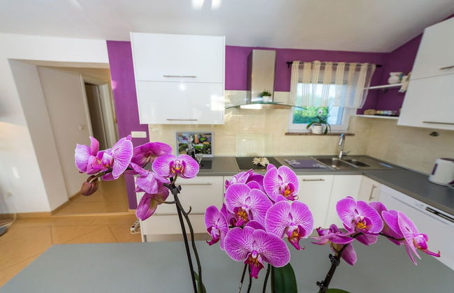 Villa Renata - Foto 10