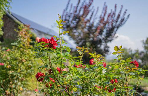 Dom Ogrodnika - Foto 48