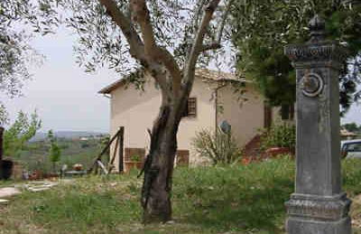 Cardinal Girolamo - Foto 75