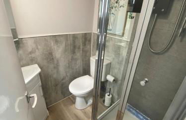 Golygfa'r Orsaf Snowdonia national park, Bala lake - Foto 17